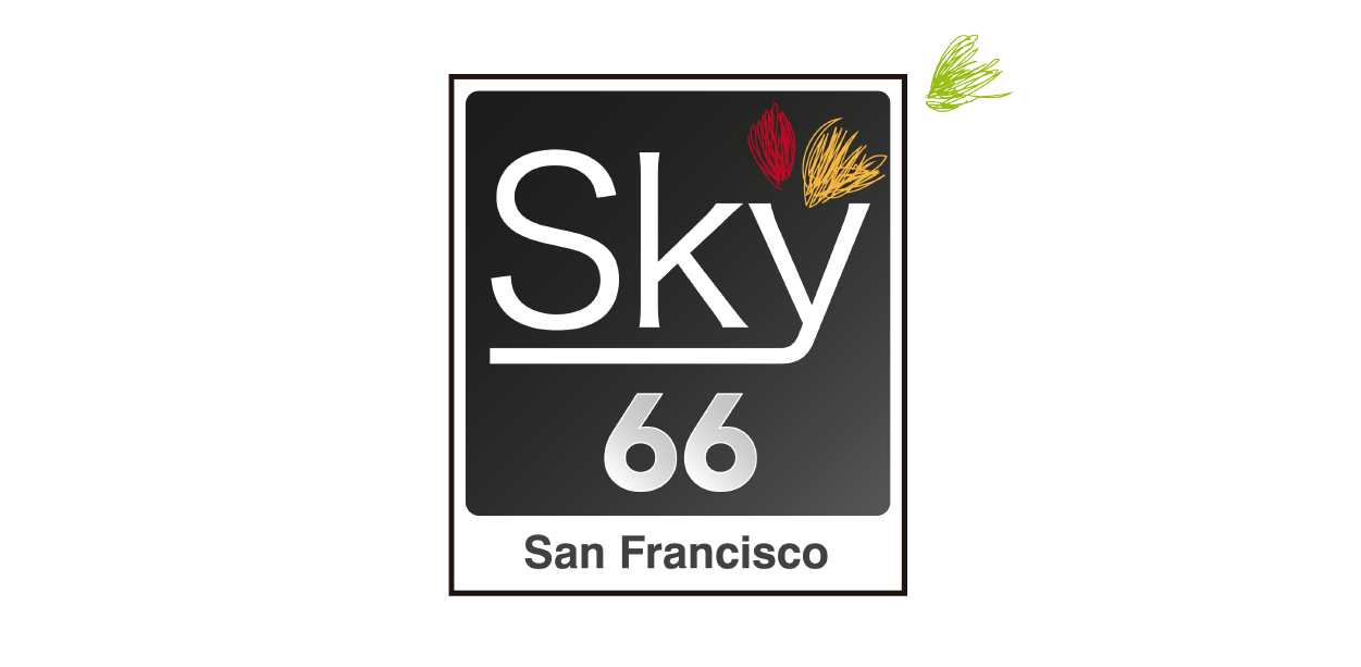 Logo Sky 66