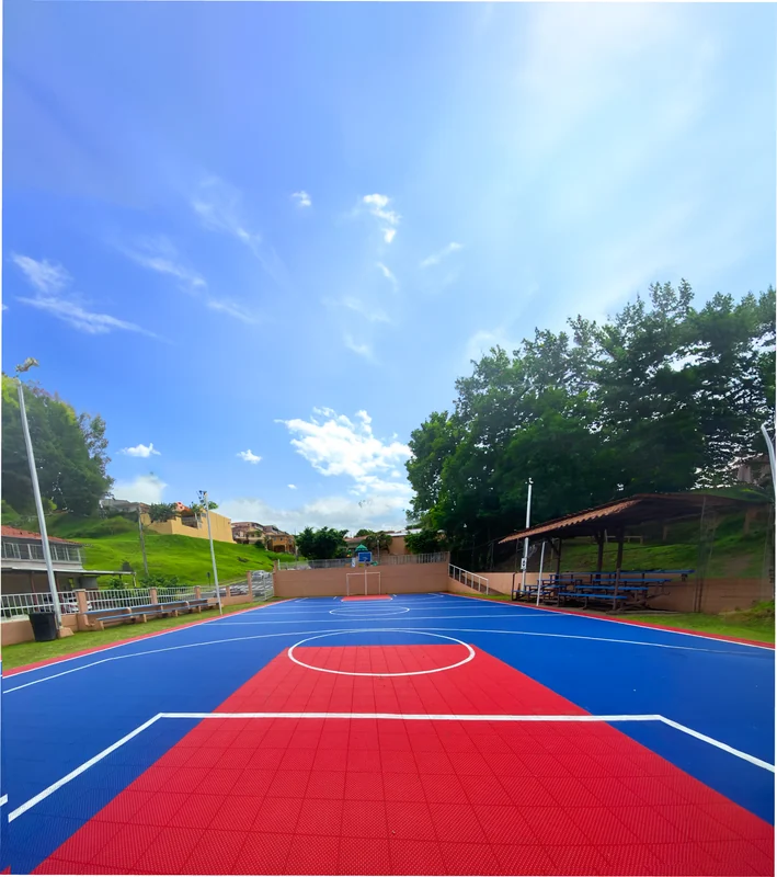 Multi-purpose court