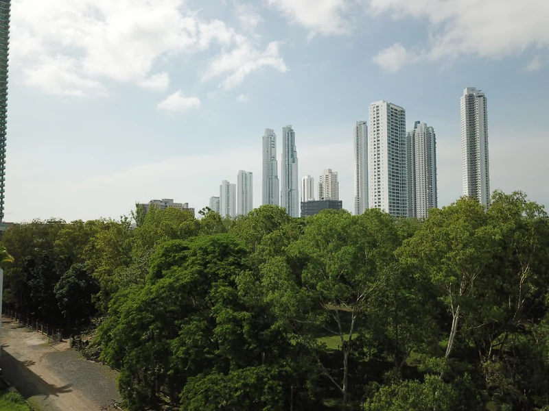 La arboleda del parque frente al skyline